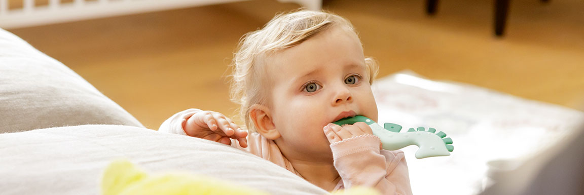 Zahnpflege & Beißringe Zahnpflege & Beißringe